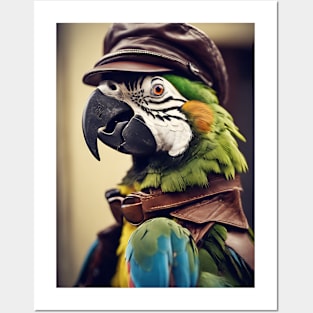 Funny parrot Posters and Art